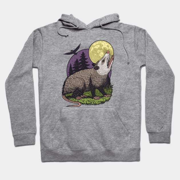 Opossum At Night Hoodie by Dima Kruk